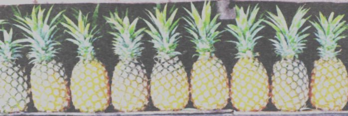 AllainaDurden's profile banner image