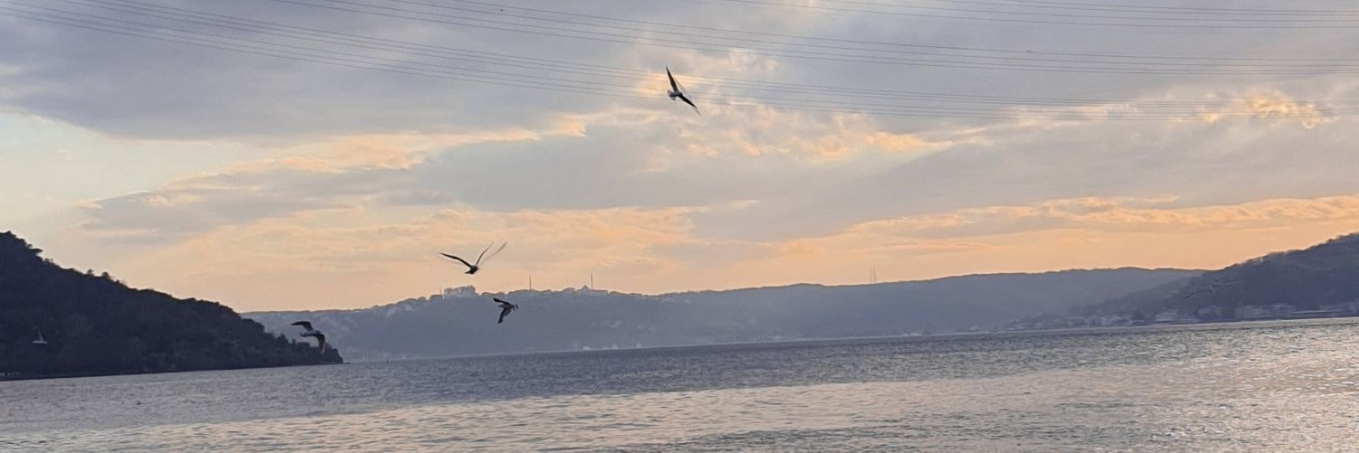 Cihan ALANKAYA banner