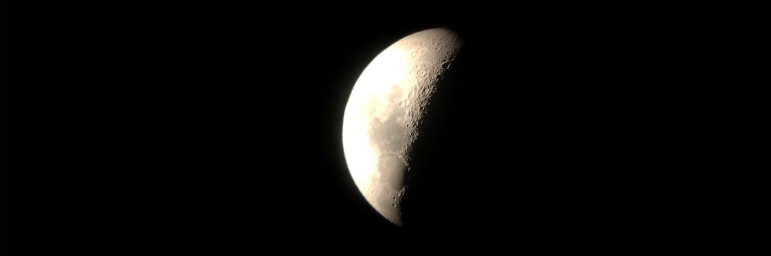 lexisdingfelder's profile banner image