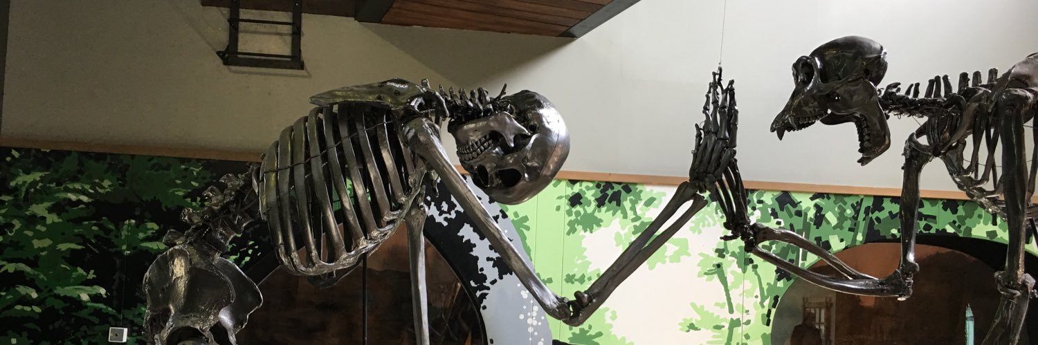 Dr Christopher Taylor banner