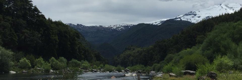 ???? banner