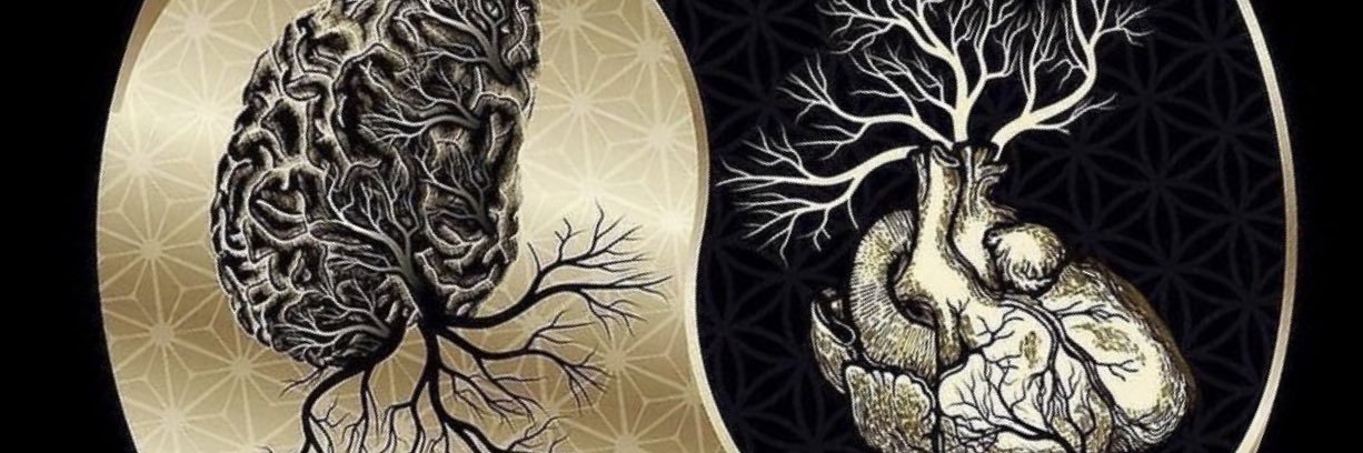 TrkerErgin's profile banner image