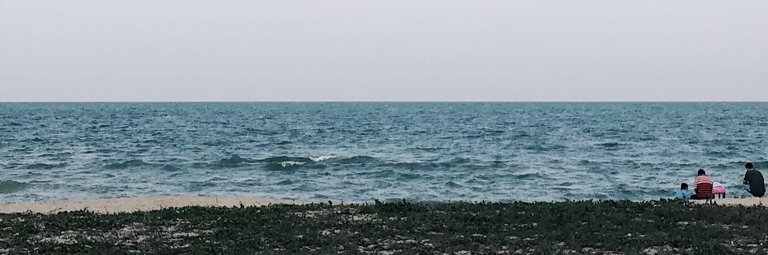 ____ banner