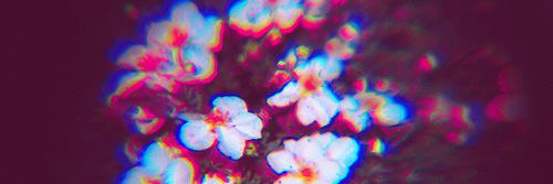 minichatonx's profile banner image