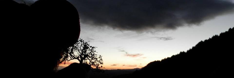 punkifera's profile banner image