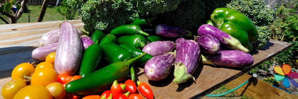 MisterTrz's profile banner image