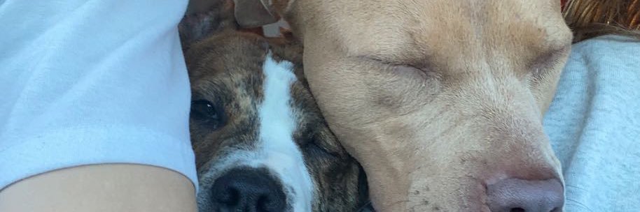 2_gabbs's profile banner image