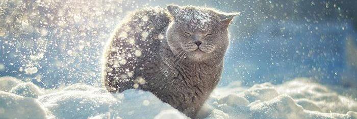 eus_ki's profile banner image