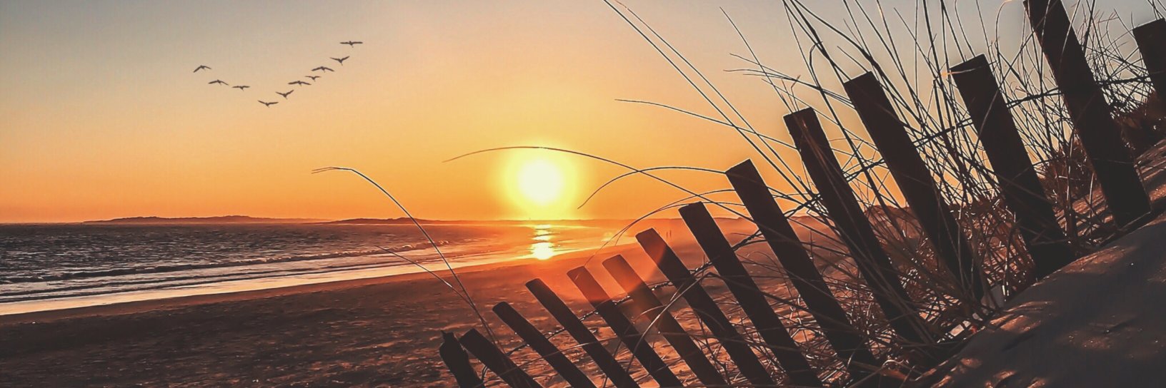 WesterlyLife's profile banner image