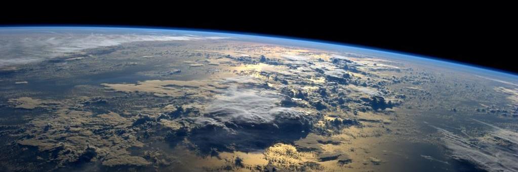 Dr Angeline Brasier 💜 banner