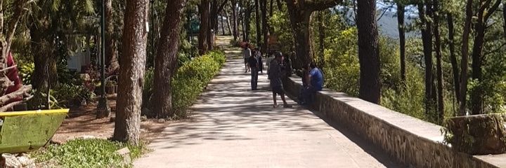 R O M E O Morano banner