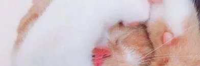 kuzz_saja's profile banner image
