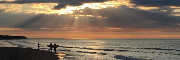 kerrywcampbell Profile Banner