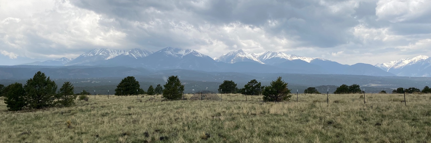 Ericmcfar's profile banner image