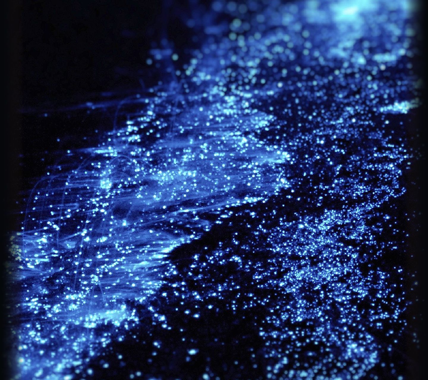 Solo_Portillin's profile banner image