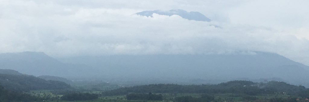 werdhianty's profile banner image