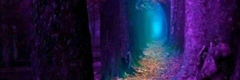 nicolas_crayon's profile banner image