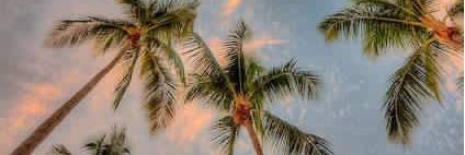 DANY_SANN's profile banner image