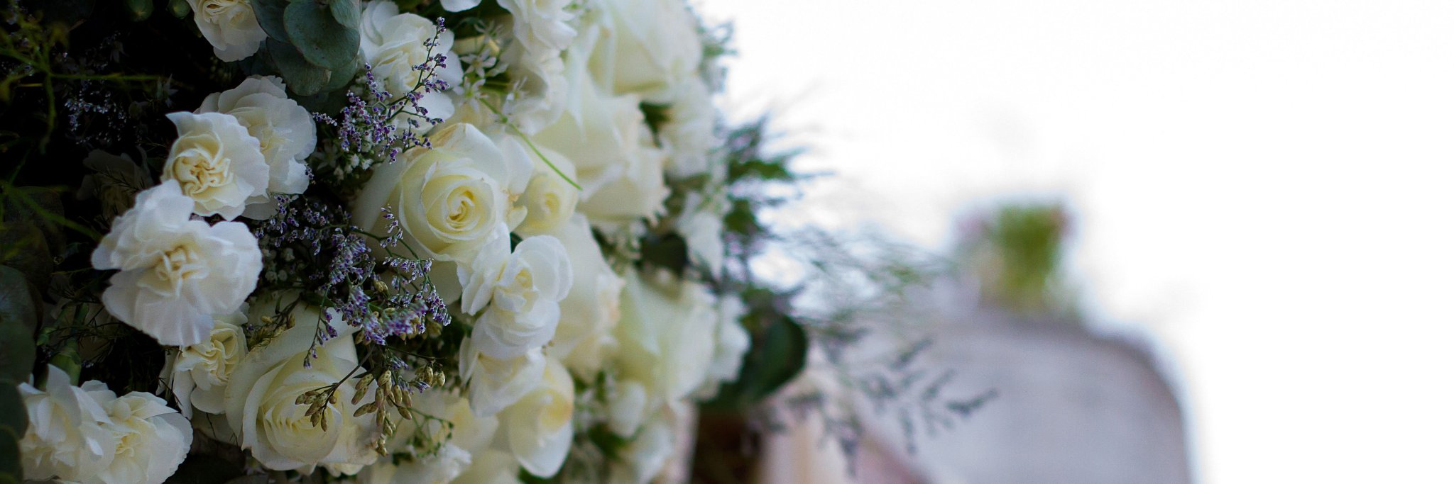 mcgregorbain's profile banner image