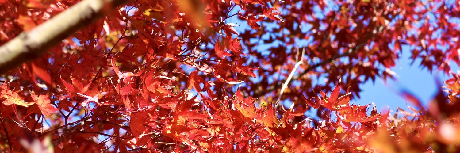 innerlow1207's profile banner image