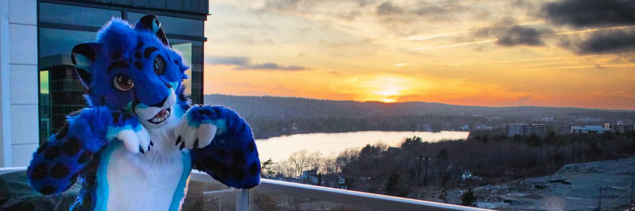 Subzy 🇨🇦 banner