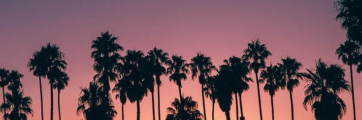 Josh Fitzgerald banner