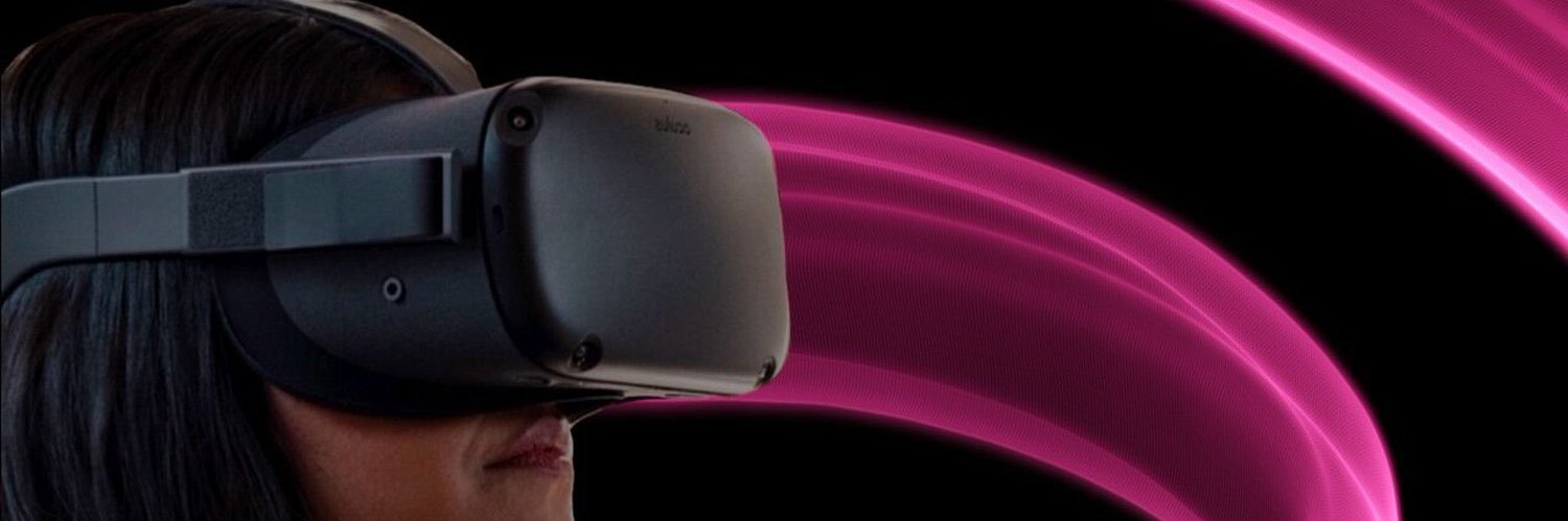 Sarah Webster banner