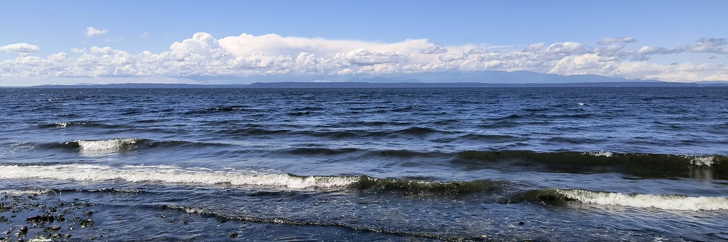 My Opinions ❤️ banner