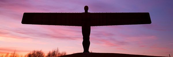 Rob Nicholson banner