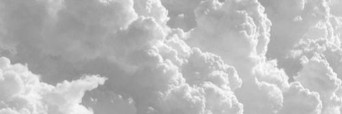 viccxxx's profile banner image
