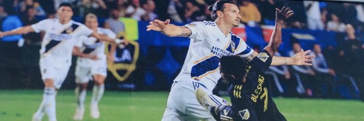 pollolocal's profile banner image
