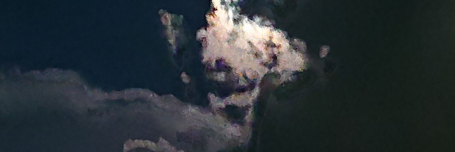 vacantcat4's profile banner image
