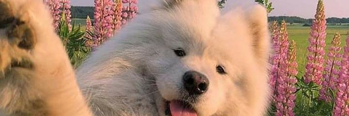carlmarcusmd_'s profile banner image
