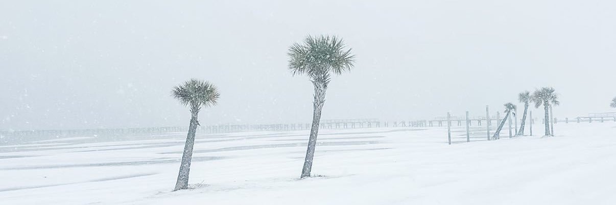 David Williams III banner