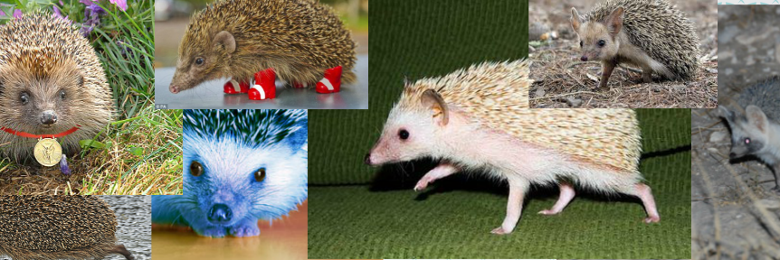 sonicmyson's profile banner image