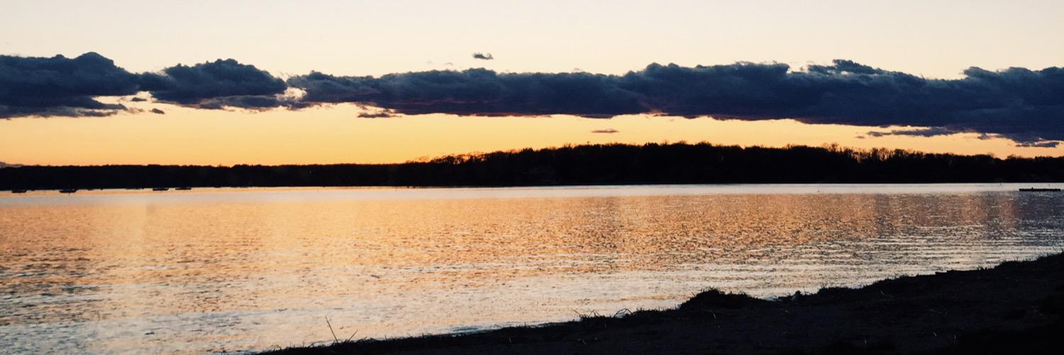 LivMauro's profile banner image