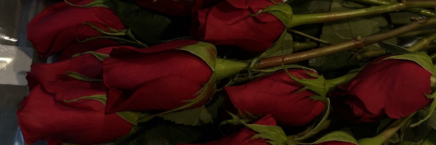 _yadee's profile banner image