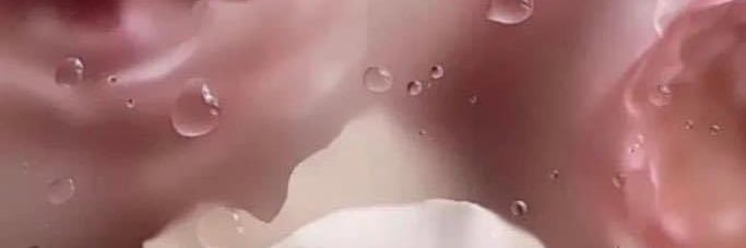 🔮รวมของน่าใช้🔮 banner