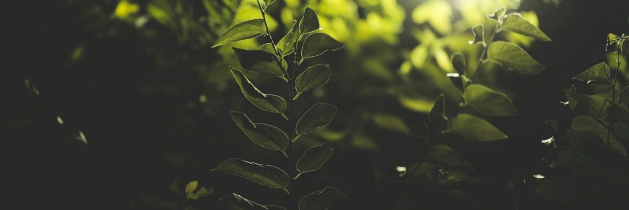 asuaanja2's profile banner image