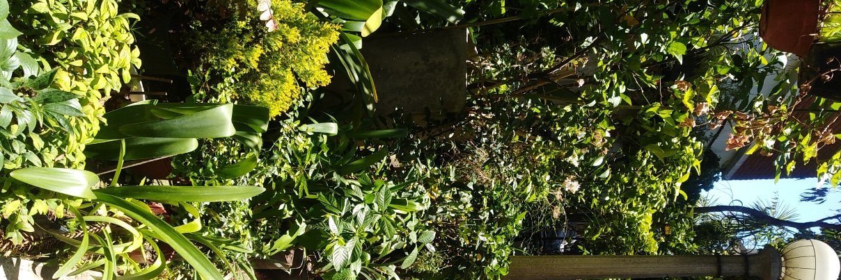 SolGunning's profile banner image