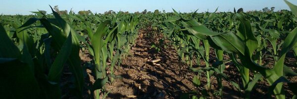 ID1678 Profile Banner