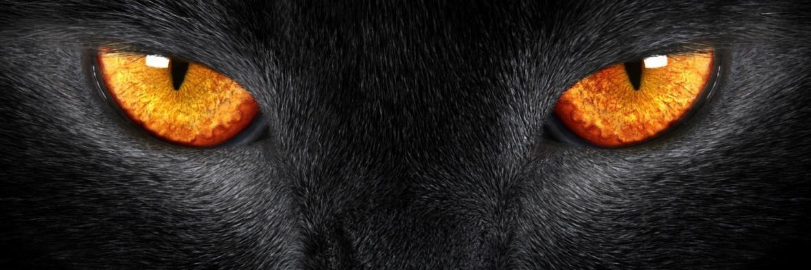 FRPrayogo's profile banner image
