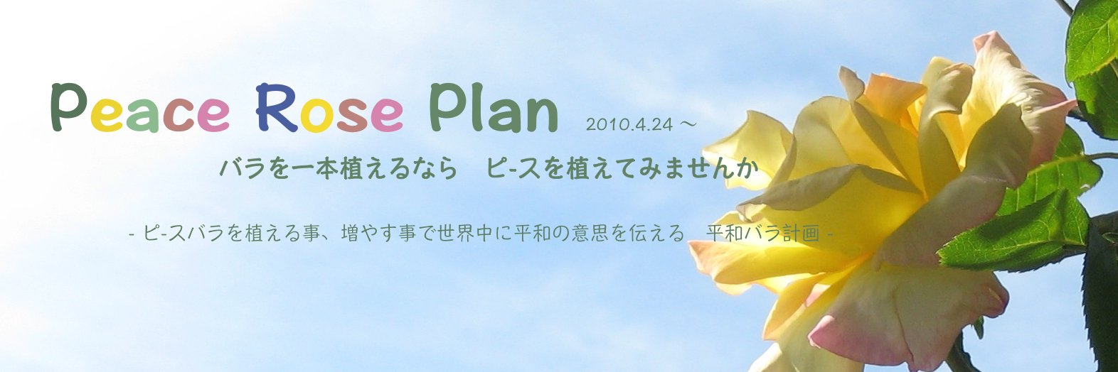 🌗 forest vita banner