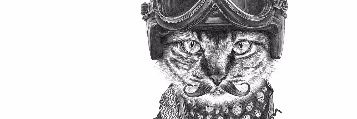 ronnkools's profile banner image