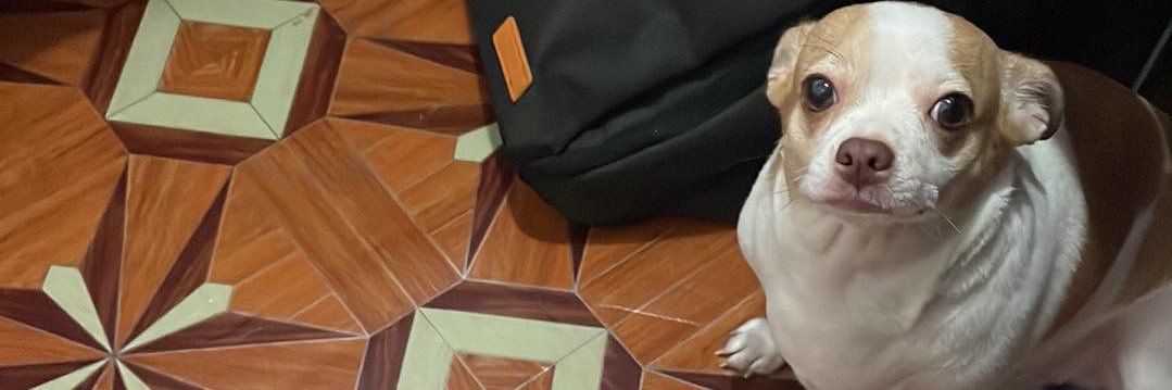 makoodln's profile banner image