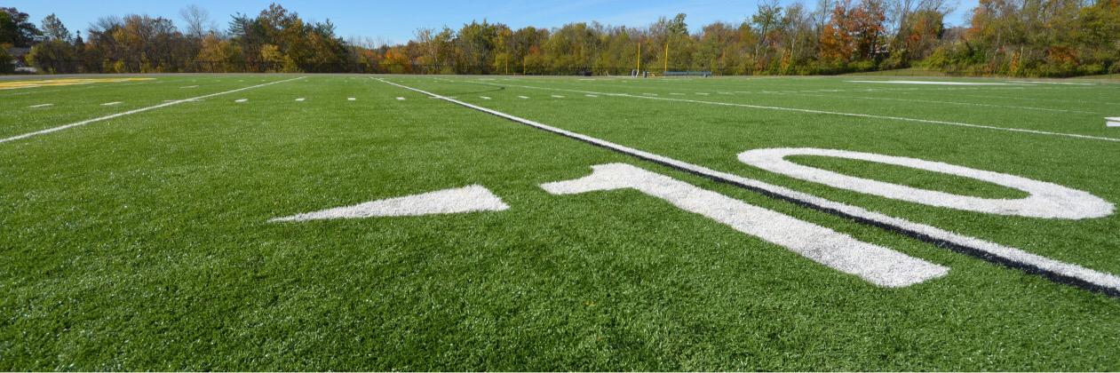 Dynasty Sports banner