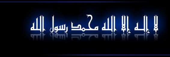 tlcq31's profile banner image