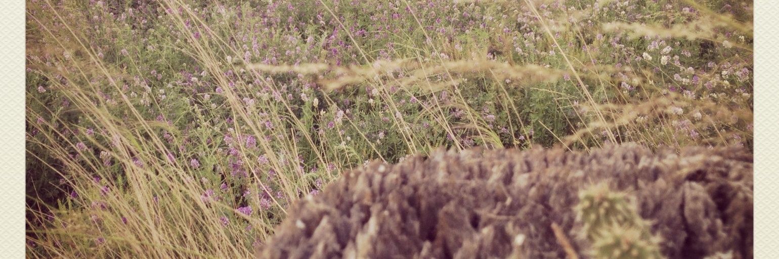 emandrew1's profile banner image