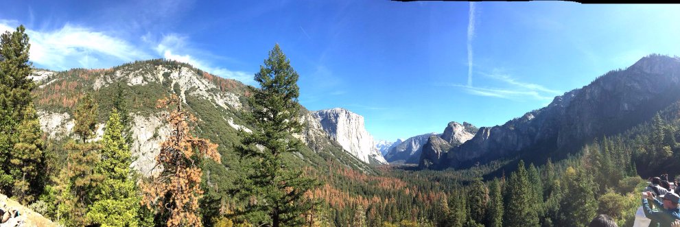 Ethan Logan-Ross banner