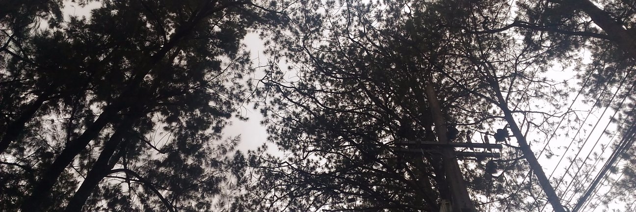 Madsnificentt's profile banner image